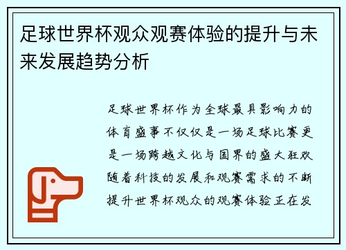 足球世界杯观众观赛体验的提升与未来发展趋势分析